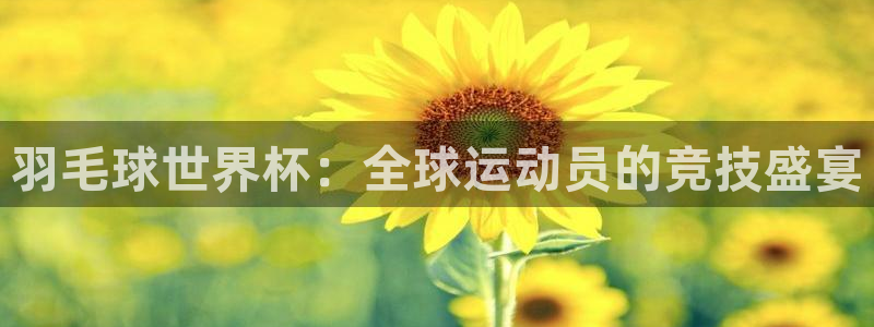 世界杯欧洲区世预赛赛程：羽毛球世界杯：全球运动员的竞技盛宴