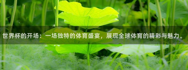 世界杯女足直播：世界杯的开场：一场独特的体育盛宴，展现全球体育的精彩与魅力。