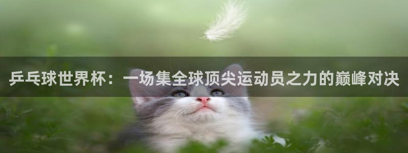 世界杯比赛时间：乒乓球世界杯：一场集全球顶尖运动员之力的巅峰对决