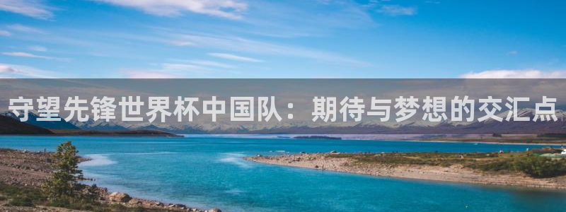 世界杯16强赛程表：守望先锋世界杯中国队：期待与梦想的交汇点