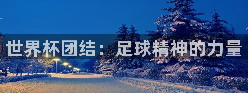 世界杯足球赛2026赛程时间：世界杯团结：足球精神的力量