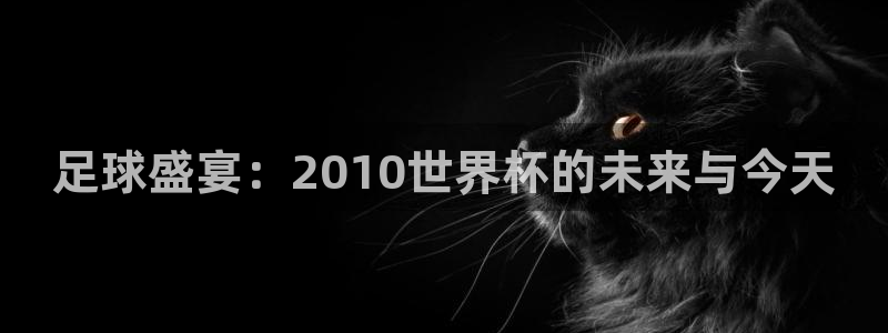 世界杯女足直播：足球盛宴：2010世界杯的未来与今天