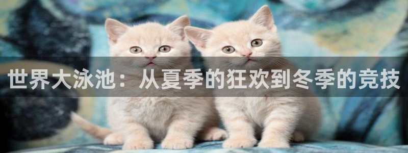 2026世界杯德国队阵容：世界大泳池：从夏季的狂欢到冬季的竞技