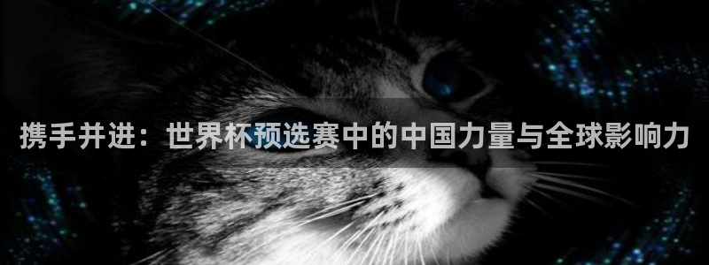 2026世界杯欧洲预选赛赛程表：携手并进：世界杯预选赛中的中国力量与全球影响力