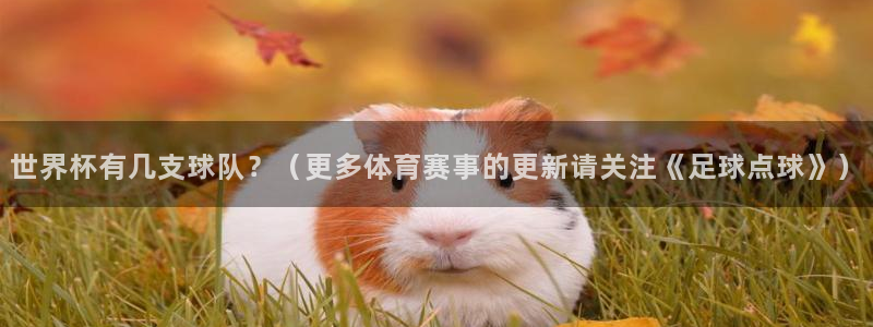 2026年世界杯赛程表时间：世界杯有几支球队？（更多体育赛事的更新请关注《足球点球》）