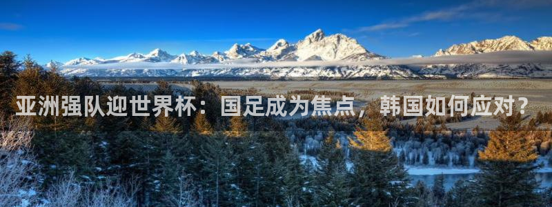 葡萄牙世界杯赛程：亚洲强队迎世界杯：国足成为焦点，韩国如何应对？