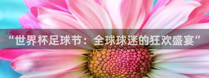 世界杯 直播：“世界杯足球节：全球球迷的狂欢盛宴”