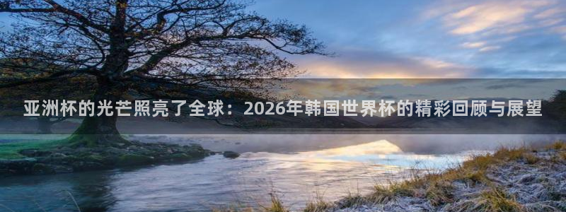世界杯足球比赛：亚洲杯的光芒照亮了全球：2026年韩国世界杯的精彩回顾与展望