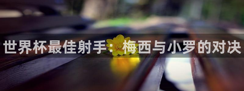 世界杯决赛预测：世界杯最佳射手：梅西与小罗的对决