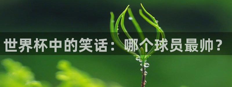 世界杯预选赛亚洲：世界杯中的笑话：哪个球员最帅？