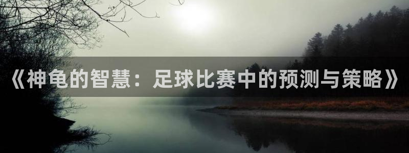世界杯对阵图2026：《神龟的智慧：足球比赛中的预测与策略》