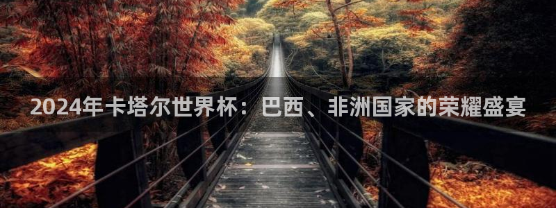 男足世界杯预选赛赛程：2024年卡塔尔世界杯：巴西、非洲国家的荣耀盛宴
