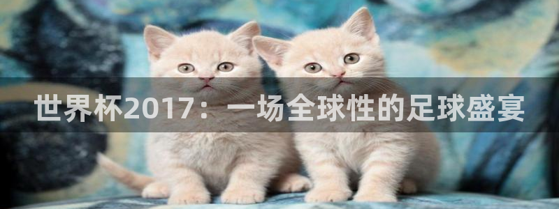 2026男足世界杯：世界杯2017：一场全球性的足球盛宴