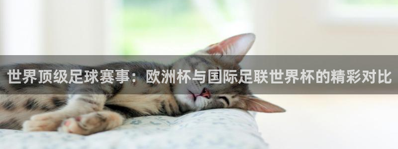 世界杯时间：世界顶级足球赛事：欧洲杯与国际足联世界杯的精彩对比